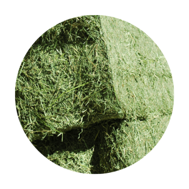Comprar cuerda para alfalfa deshidratada