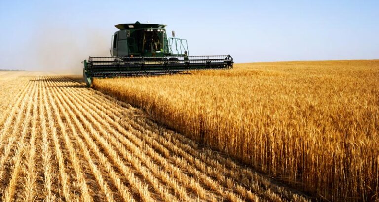 agricultura