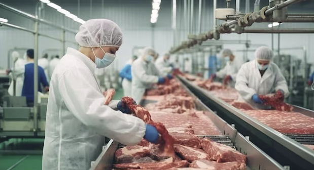sector alimentario