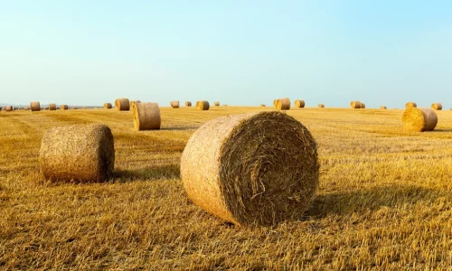 Cuerda agricola para empacar paja